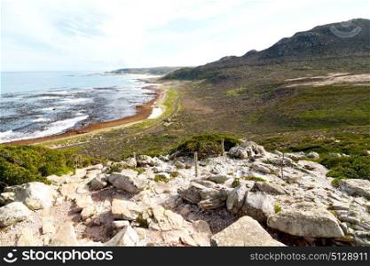blur in south africa coastline cape of good hope and natural park reserve