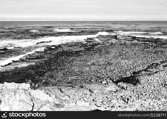 blur in south africa coastline cape of good hope and natural park reserve