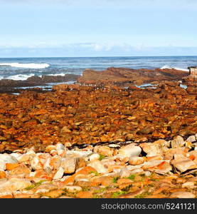 blur in south africa coastline cape of good hope and natural park reserve