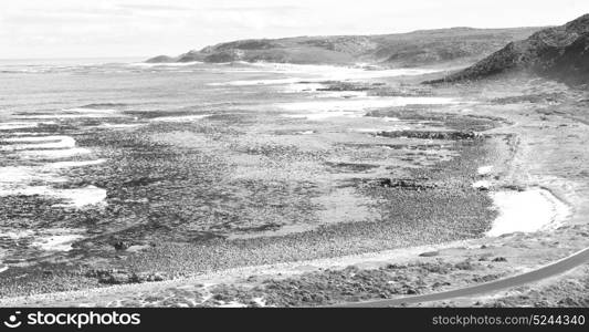 blur in south africa coastline cape of good hope and natural park reserve