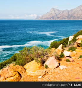 blur in south africa coastline indian ocean near the mountain and beach with pkant and bush