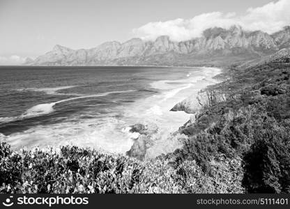 blur in south africa coastline indian ocean near the mountain and beach with pkant and bush