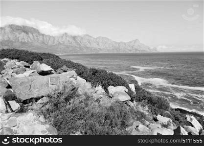 blur in south africa coastline indian ocean near the mountain and beach with pkant and bush