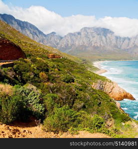 blur in south africa coastline indian ocean near the mountain and beach with pkant and bush