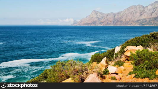 blur in south africa coastline indian ocean near the mountain and beach with pkant and bush