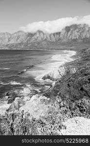 blur in south africa coastline indian ocean near the mountain and beach with pkant and bush