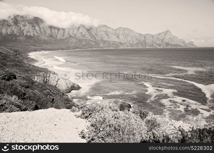 blur in south africa coastline indian ocean near the mountain and beach with pkant and bush