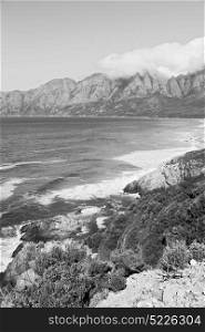 blur in south africa coastline indian ocean near the mountain and beach with pkant and bush