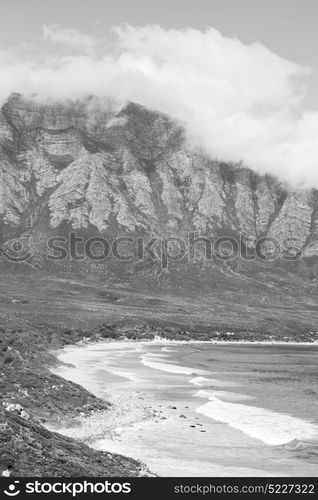 blur in south africa coastline indian ocean near the mountain and beach with pkant and bush