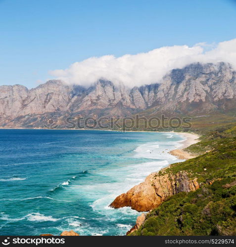 blur in south africa coastline indian ocean near the mountain and beach with pkant and bush