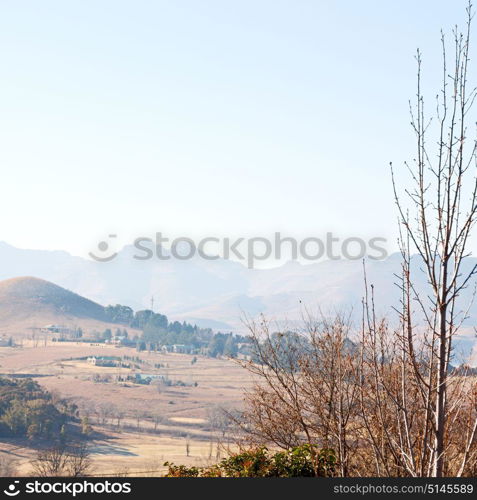 blur in south africa old town near the mountain and tree