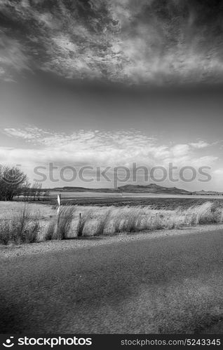 blur in south africa plant land and tree near the grass