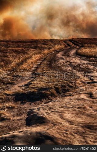 blur in south africa plant land bush and tree near the fire mountain