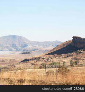 blur in south africa plant land bush and tree near the mountain