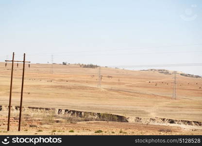 blur in south africa plant land bush and tree near the mountain