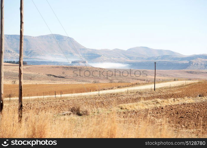 blur in south africa plant land bush and tree near the mountain