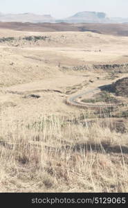 blur in south africa plant land bush and tree near the mountain