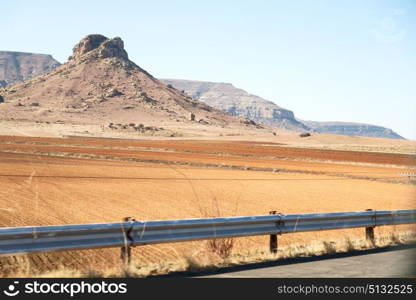 blur in south africa plant land bush and tree near the mountain