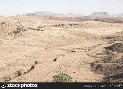 blur in south africa plant land bush and tree near the mountain