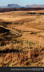 blur in south africa plant land bush and tree near the mountain