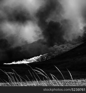 blur in south africa plant land bush and tree near the mountain