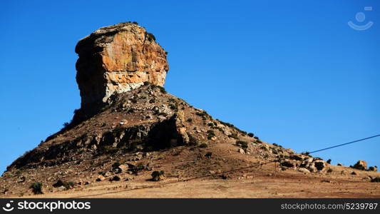 blur in south africa plant land bush and tree near the mountain