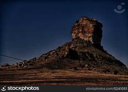 blur in south africa plant land bush and tree near the mountain