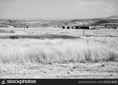 blur in south africa plant land bush and tree near the mountain