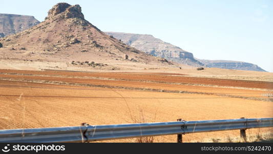 blur in south africa plant land bush and tree near the mountain