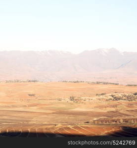 blur in south africa plant land bush and tree near the mountain