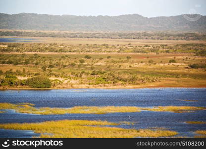 blur in south africa pond lake isimagaliso nature reserve and bush