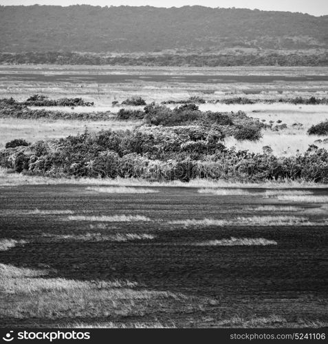 blur in south africa pond lake isimagaliso nature reserve and bush