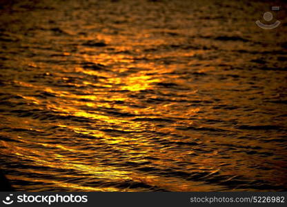 blur in south africa sea indian ocean and abstract gold wave for sunset