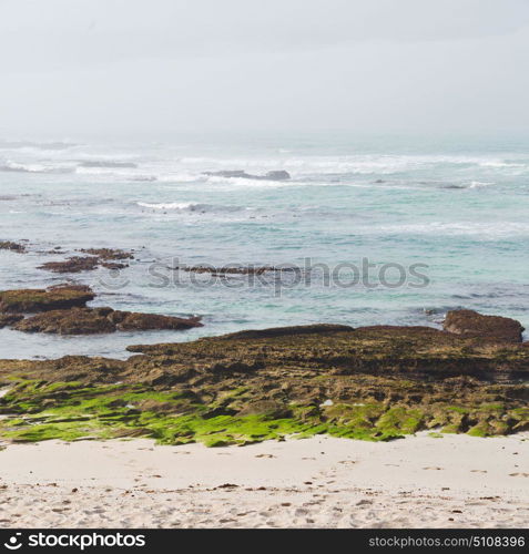 blur in south africa sky ocean de hoop reserve nature and rocks