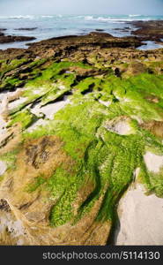 blur in south africa sky ocean de hoop reserve nature and rocks