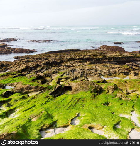 blur in south africa sky ocean de hoop reserve nature and rocks