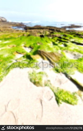 blur in south africa sky ocean de hoop reserve nature and rocks