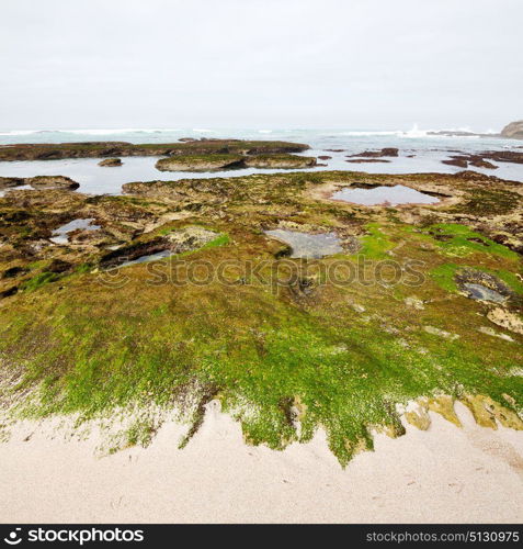 blur in south africa sky ocean de hoop reserve nature and rocks