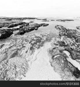 blur in south africa sky ocean de hoop reserve nature and rocks