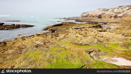 blur in south africa sky ocean de hoop reserve nature and rocks