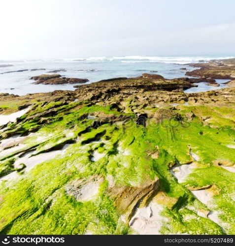 blur in south africa sky ocean de hoop reserve nature and rocks