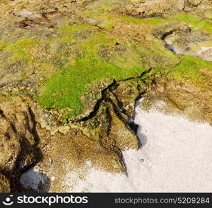 blur in south africa sky ocean de hoop reserve nature and rocks