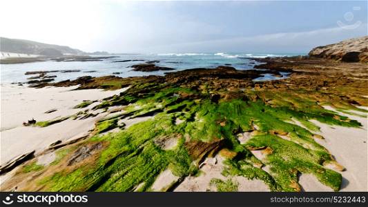 blur in south africa sky ocean de hoop reserve nature and rocks