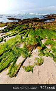 blur in south africa sky ocean de hoop reserve nature and rocks