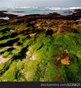 blur in south africa sky ocean de hoop reserve nature and rocks