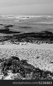 blur in south africa sky ocean de hoop reserve nature and rocks