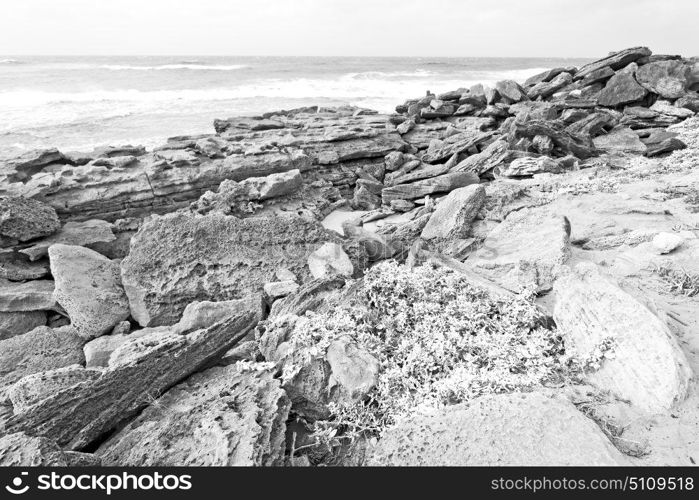 blur in south africa sky ocean isimagaliso reserve nature and rocks