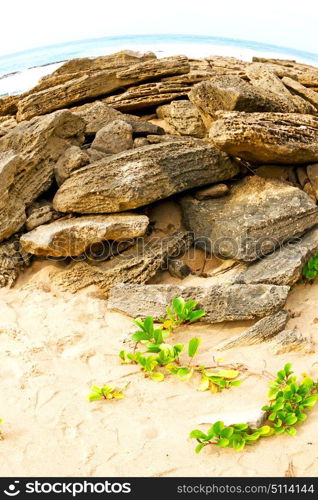 blur in south africa sky ocean isimagaliso reserve nature and rocks