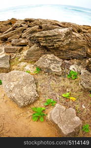 blur in south africa sky ocean isimagaliso reserve nature and rocks