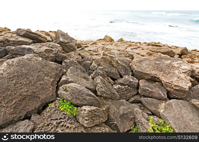 blur in south africa sky ocean isimagaliso reserve nature and rocks